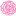 花03
